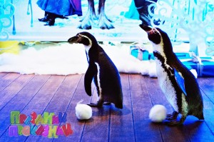 пингвины на детский праздник