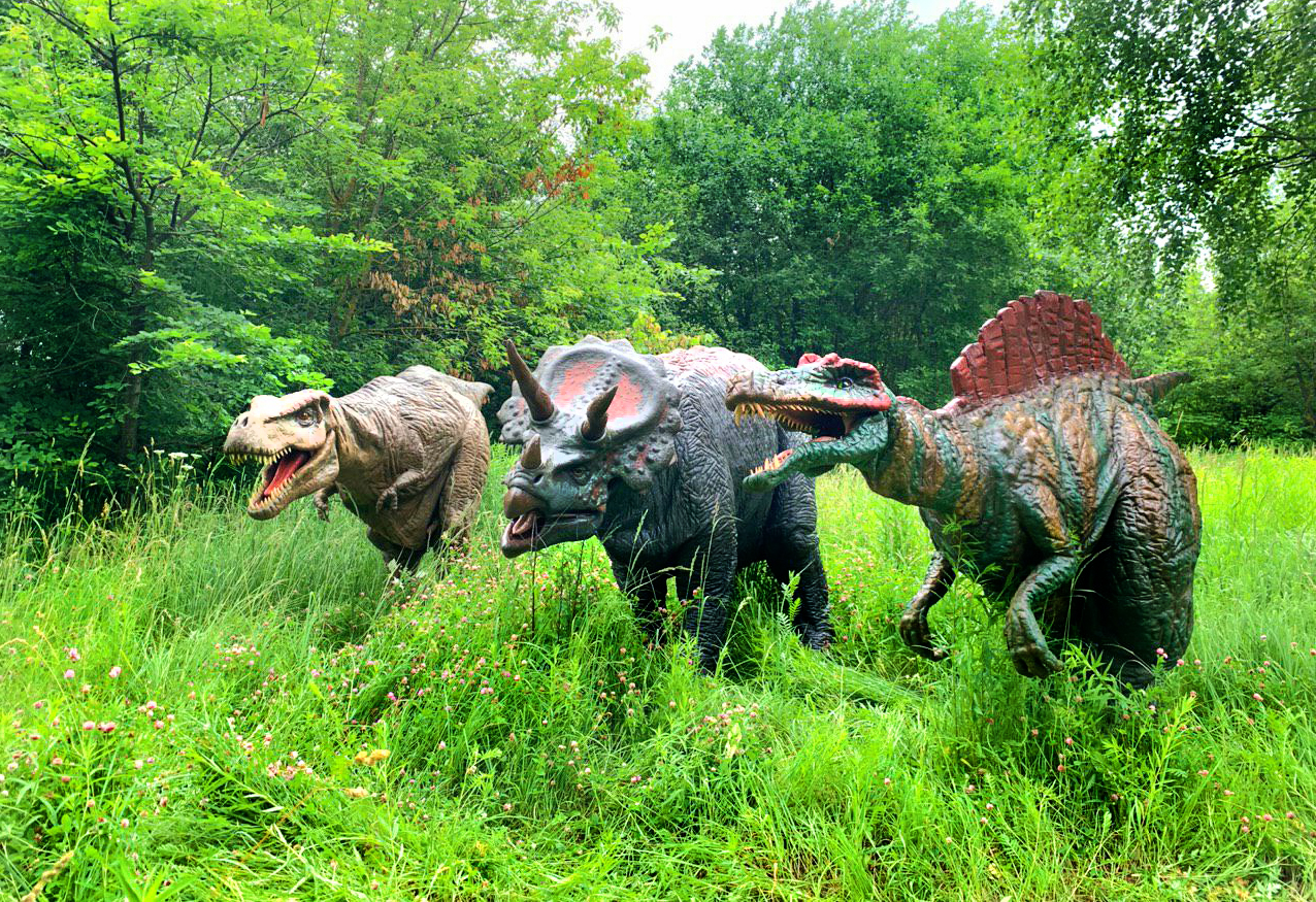 DINO DINO