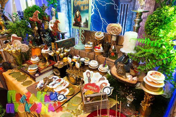 Организация детского дня рождения - Гарри Поттер