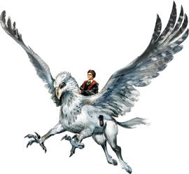 ico-1 ico-1-e1733836263241