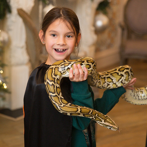 змея на праздник